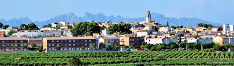 vaciado de viviendas en la granada
